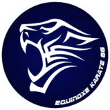 Ecusson du club