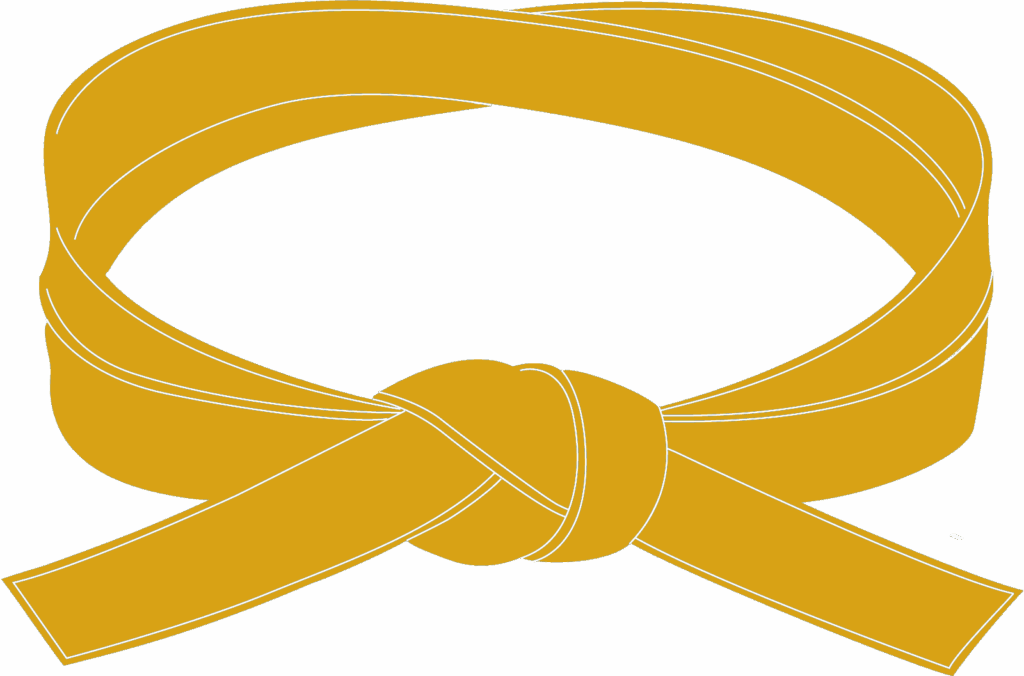 Ceinture-Orange-4-ème-Kyu