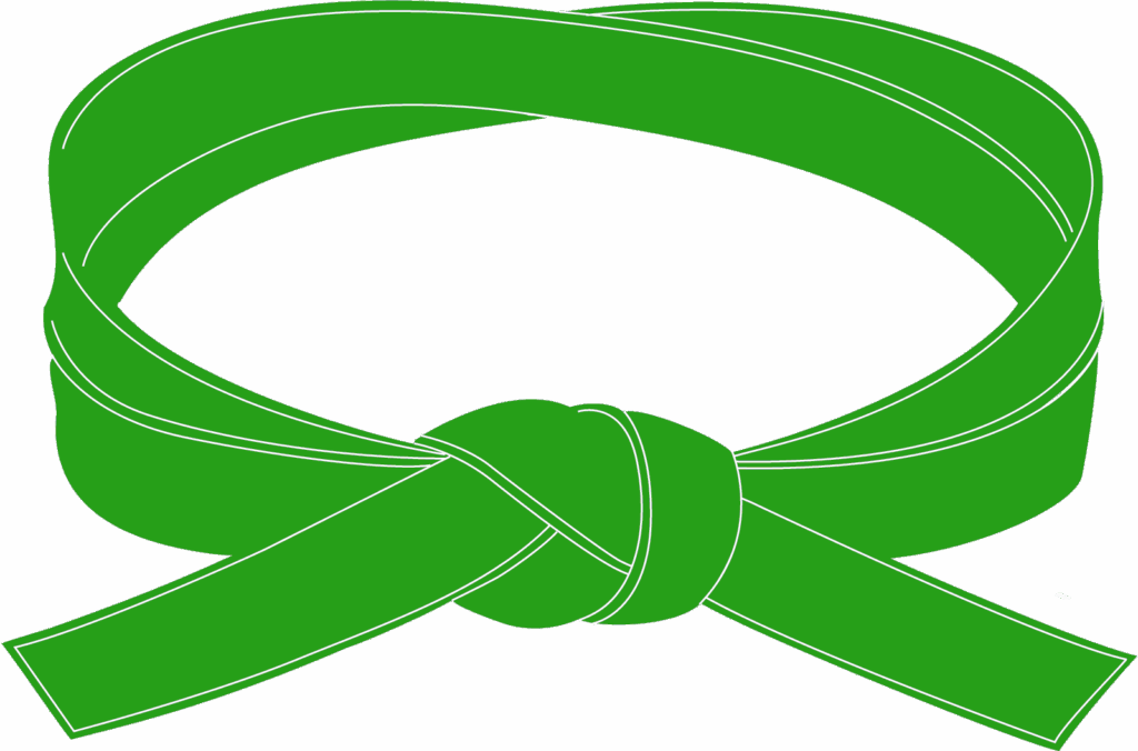 Ceinture verte de Karaté seule